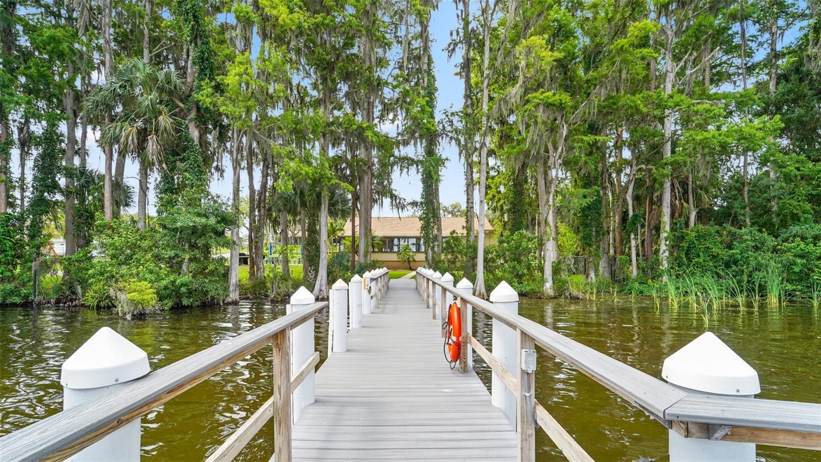 1496 QUEEN ANNE DR, PALM HARBOR, FL — photo 33