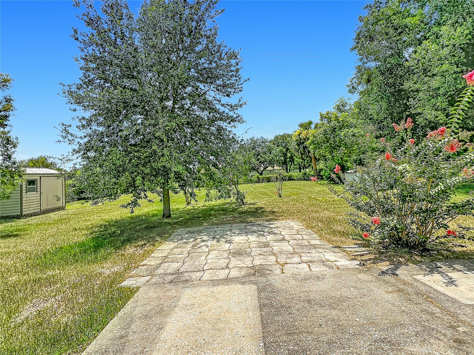 2255 CROAT ST, MOUNT DORA, FL — photo 26