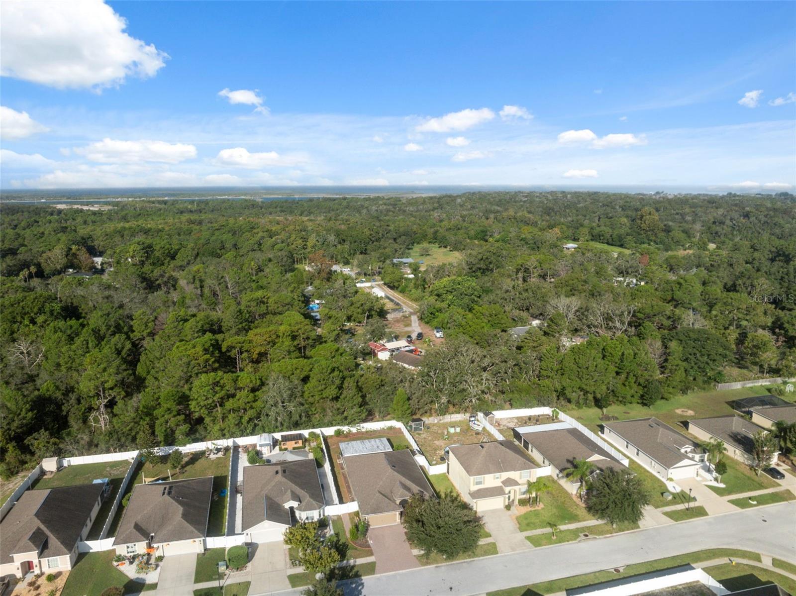 18035 ARBOR CREST DR, HUDSON, FL — photo 37