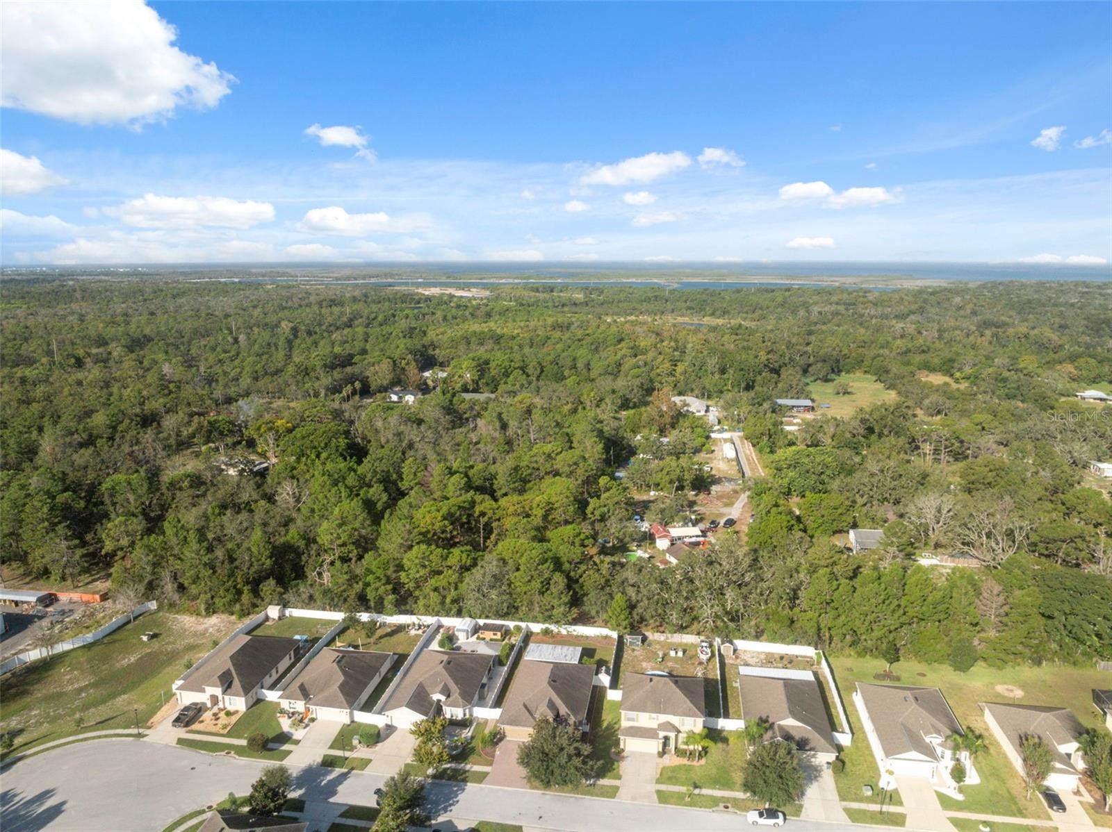 18035 ARBOR CREST DR, HUDSON, FL — photo 42