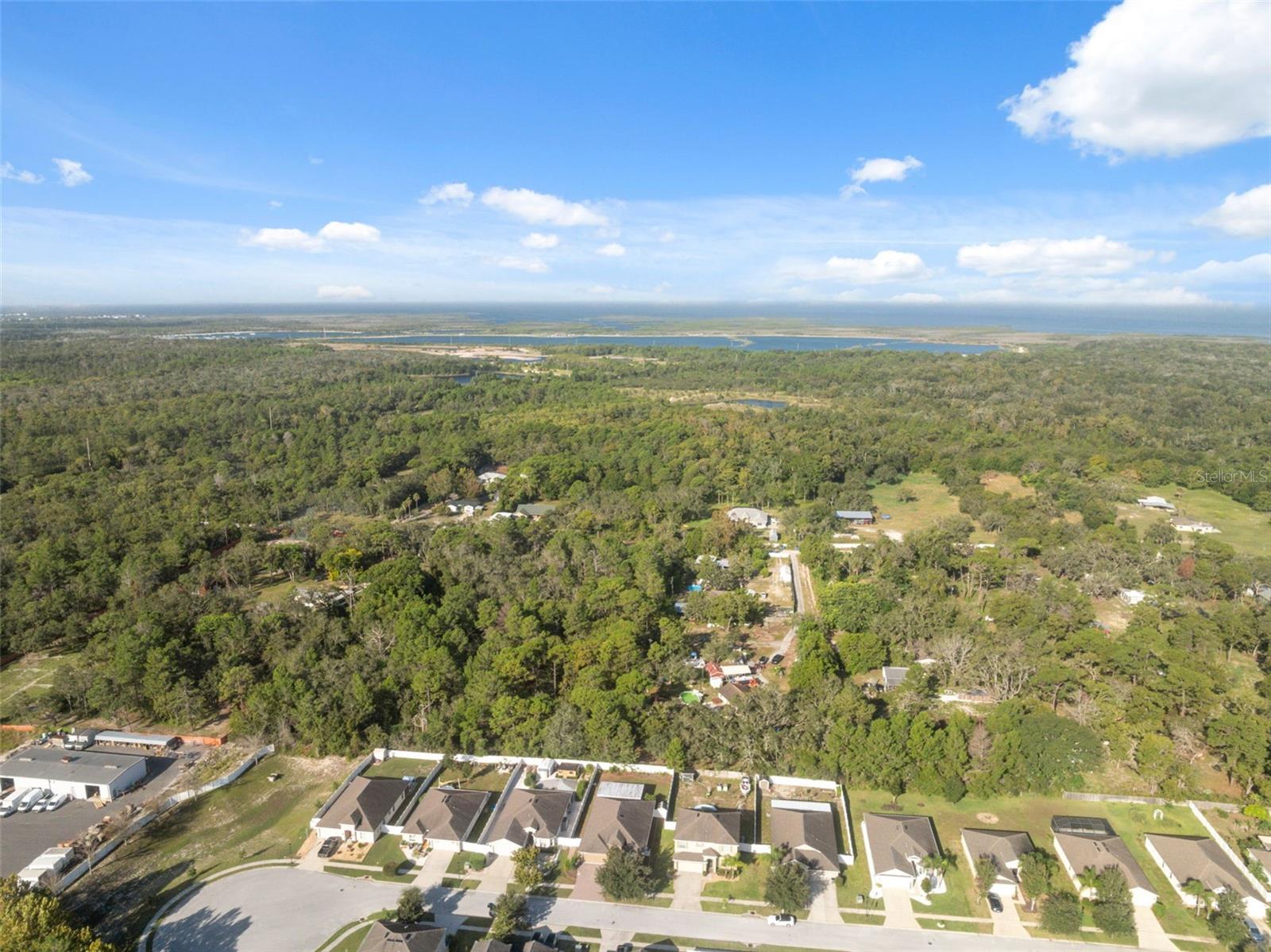 18035 ARBOR CREST DR, HUDSON, FL — photo 43