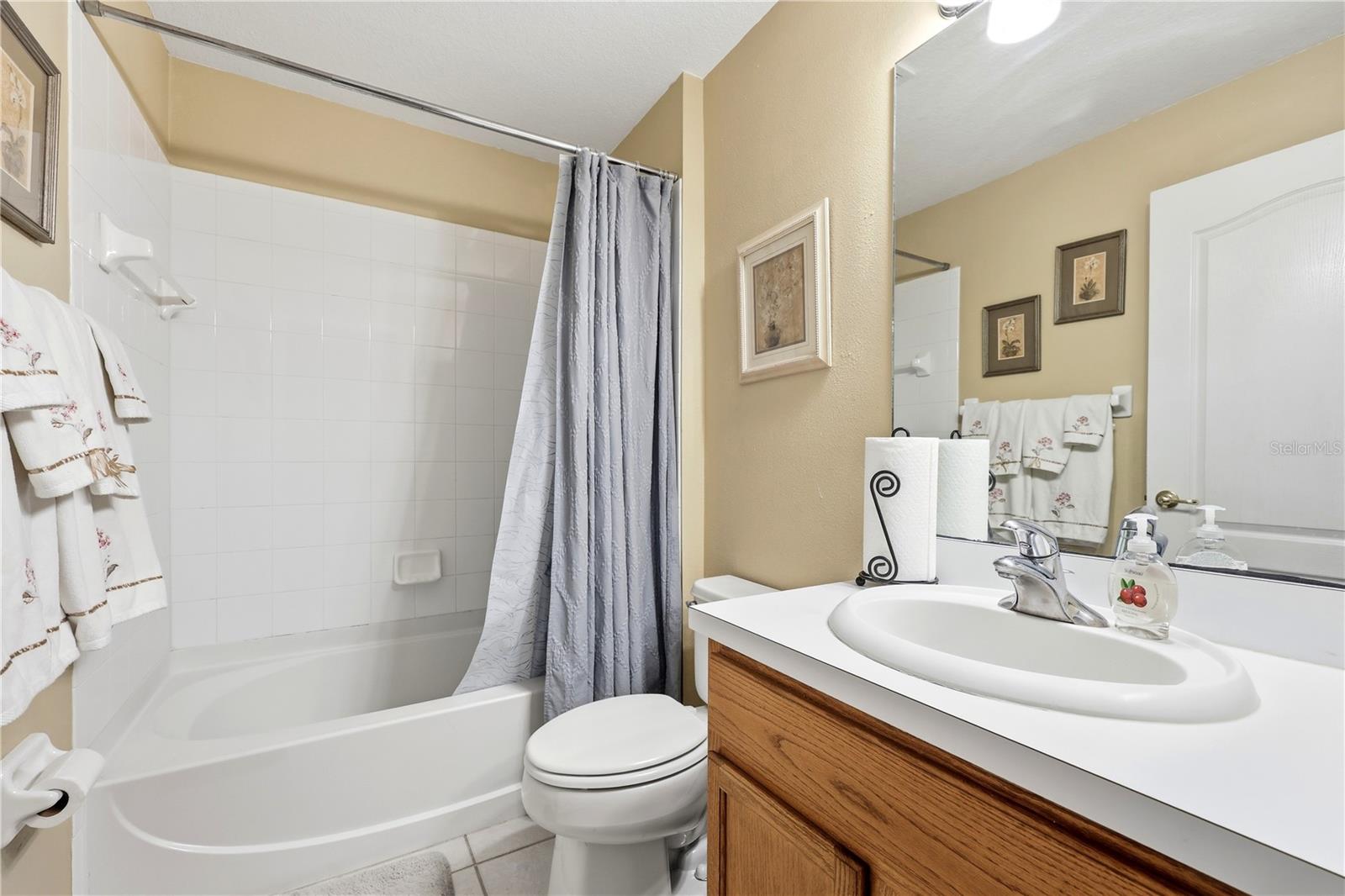 18165 CANAL POINTE ST, TAMPA, FL — photo 14