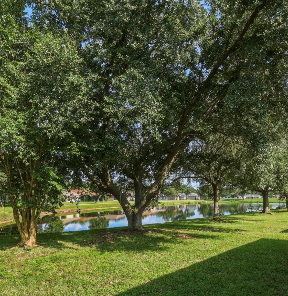 18165 CANAL POINTE ST, TAMPA, FL — photo 21