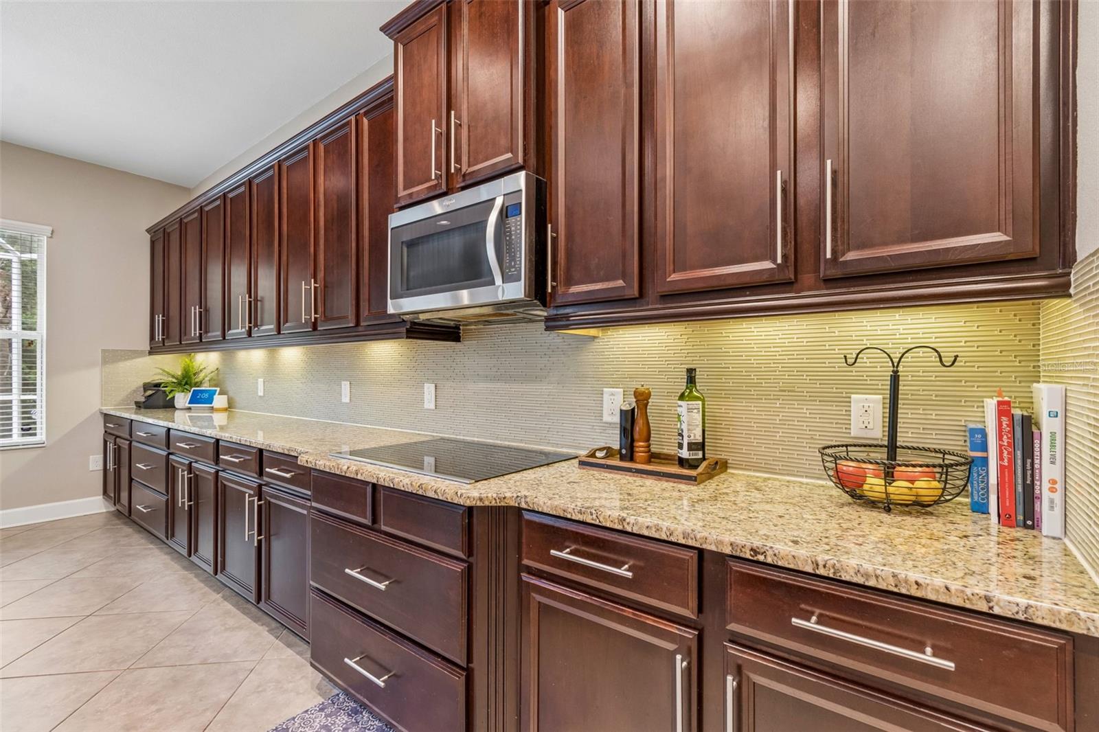 4123 WINDCREST DR, WESLEY CHAPEL, FL — photo 19