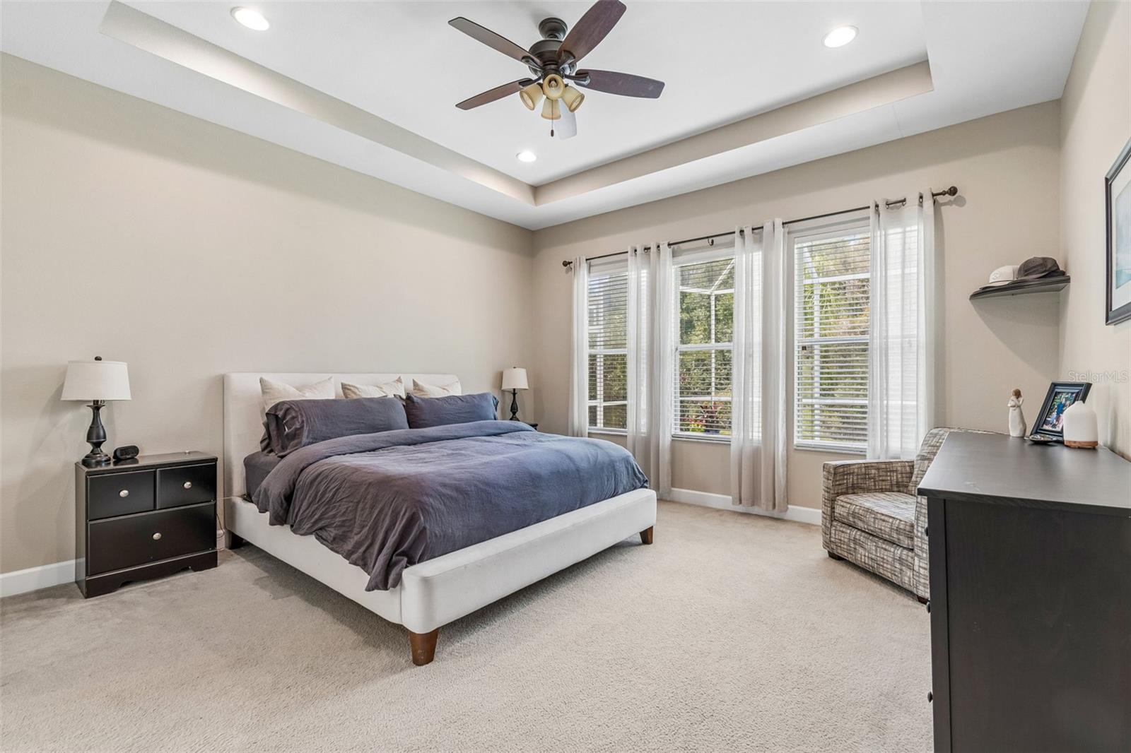 4123 WINDCREST DR, WESLEY CHAPEL, FL — photo 24