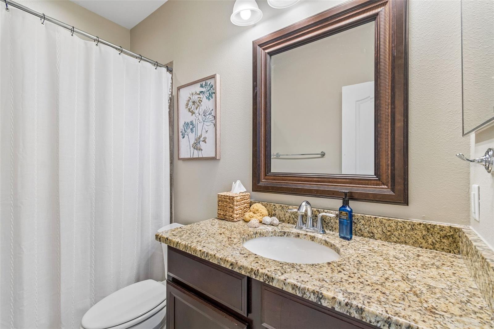 4123 WINDCREST DR, WESLEY CHAPEL, FL — photo 35