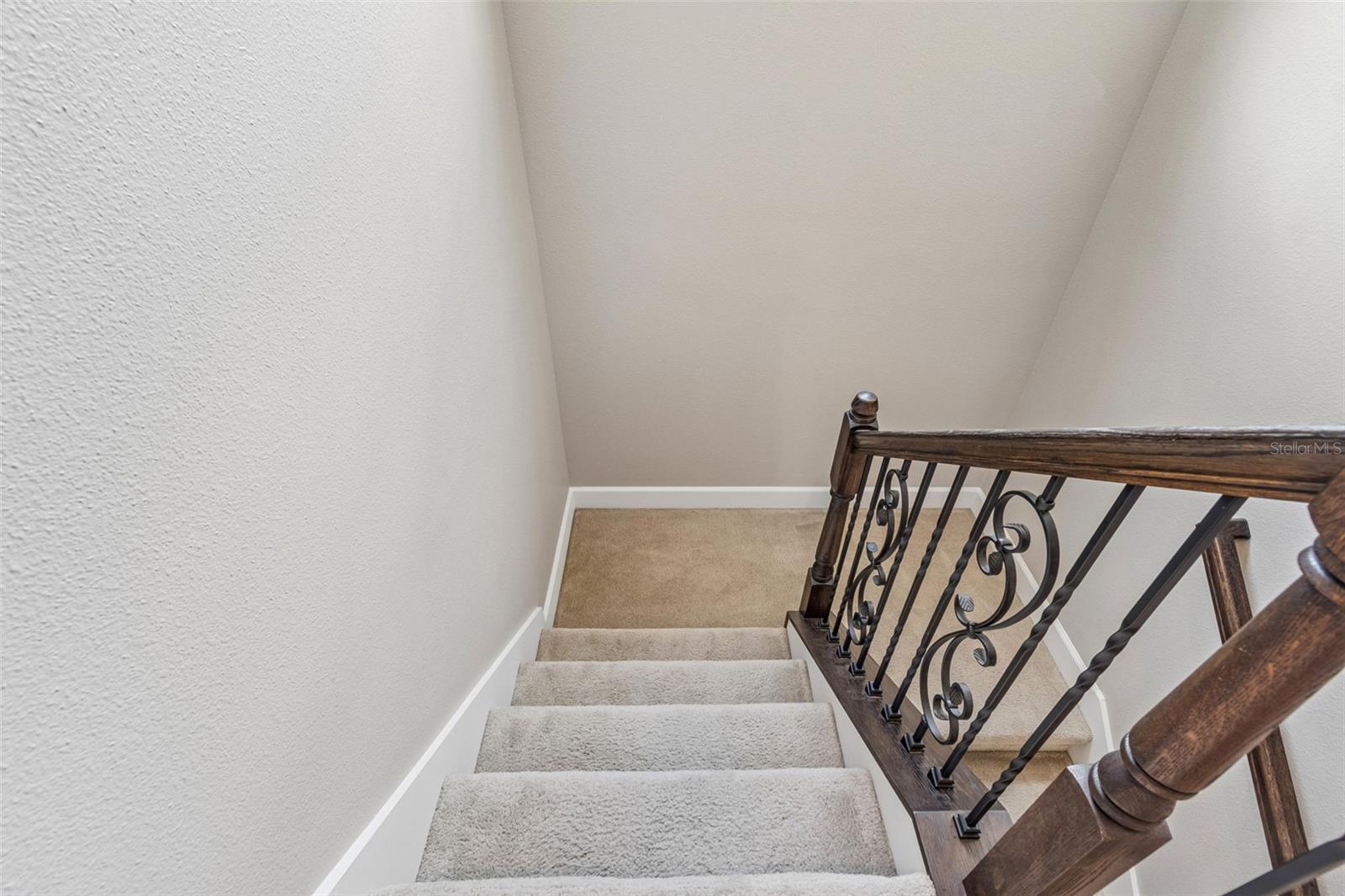 4123 WINDCREST DR, WESLEY CHAPEL, FL — photo 43