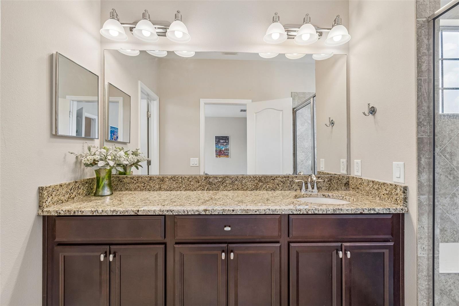 4123 WINDCREST DR, WESLEY CHAPEL, FL — photo 47