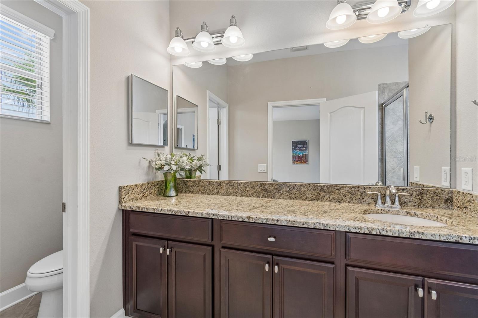 4123 WINDCREST DR, WESLEY CHAPEL, FL — photo 49