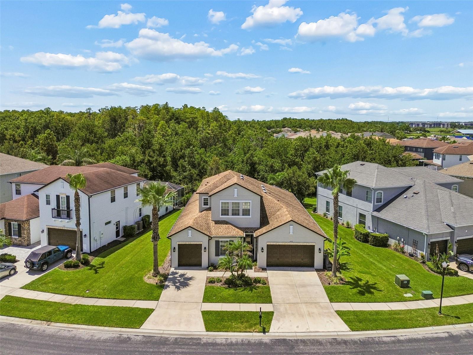 4123 WINDCREST DR, WESLEY CHAPEL, FL — photo 67