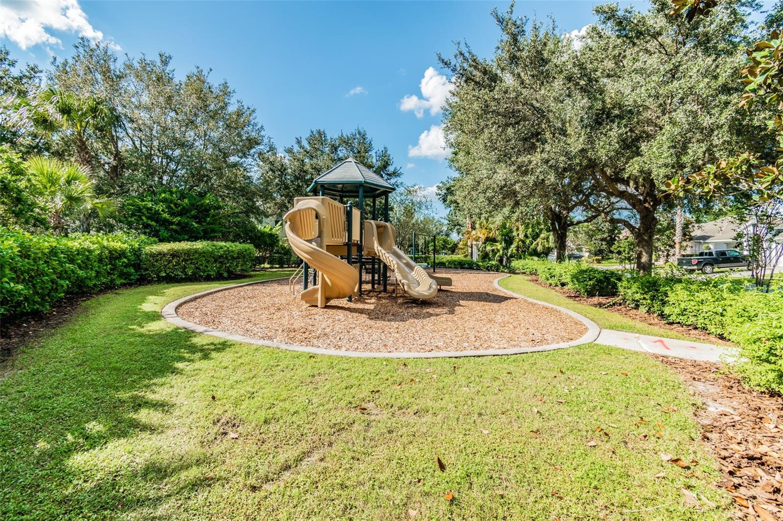 4123 WINDCREST DR, WESLEY CHAPEL, FL — photo 78