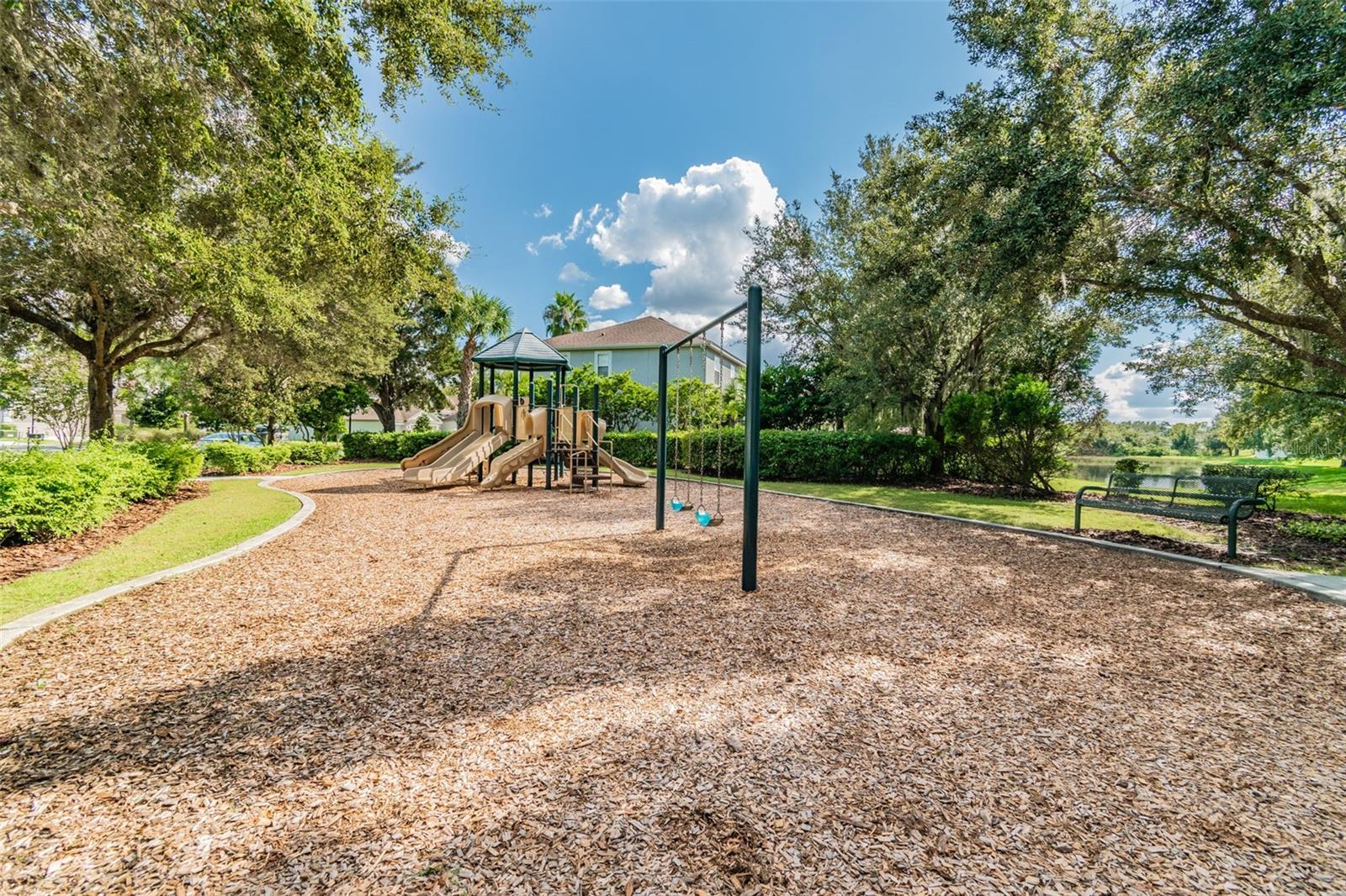 4123 WINDCREST DR, WESLEY CHAPEL, FL — photo 79