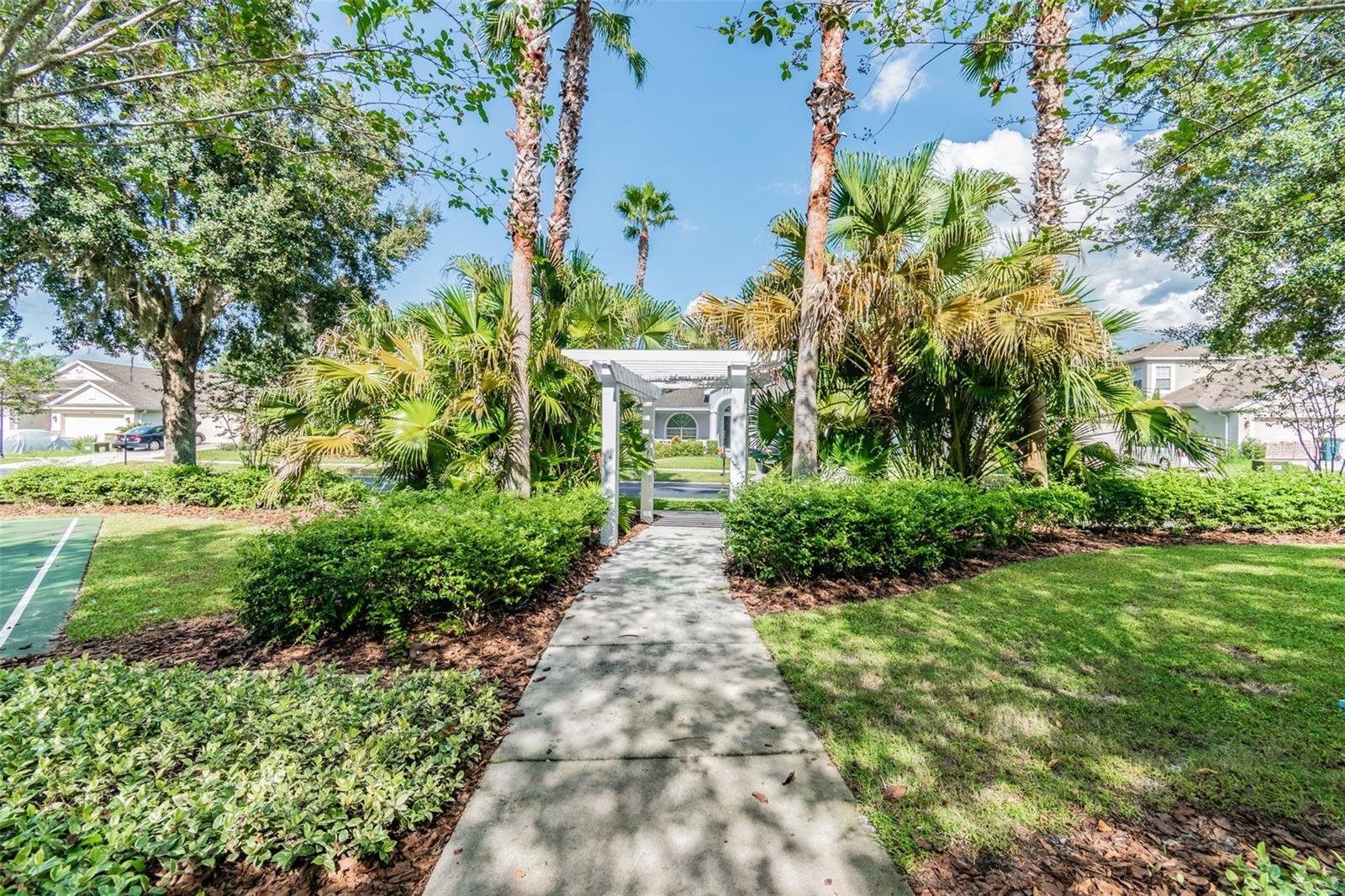4123 WINDCREST DR, WESLEY CHAPEL, FL — photo 80