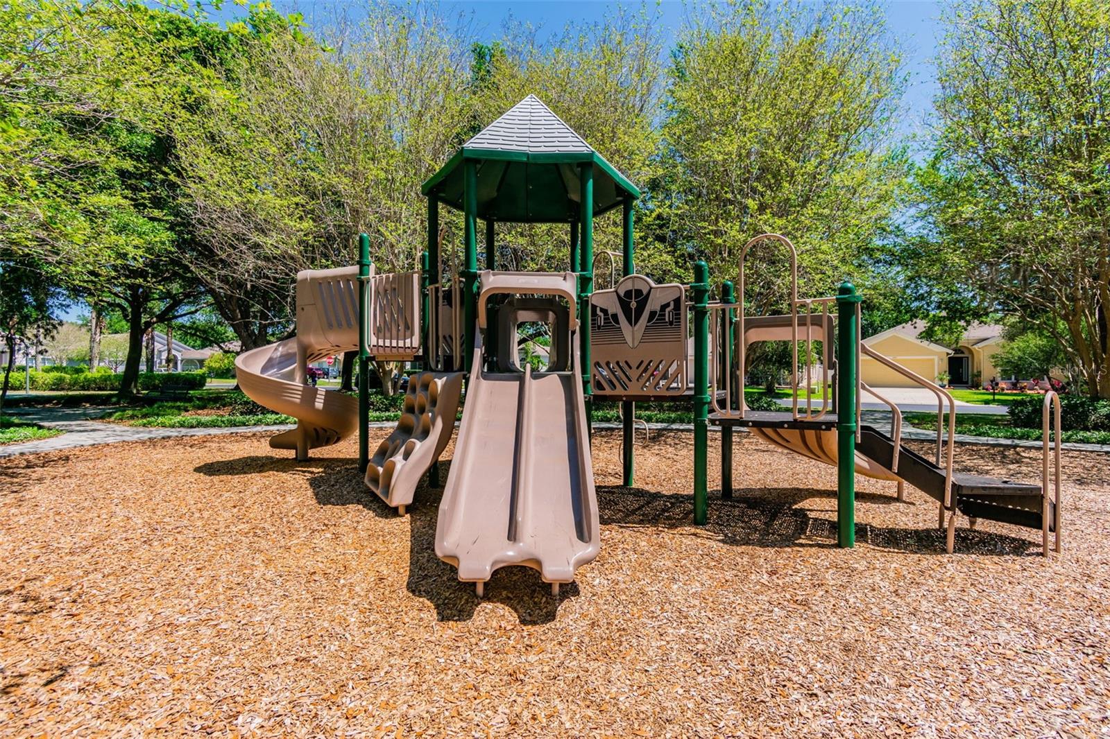 4123 WINDCREST DR, WESLEY CHAPEL, FL — photo 82