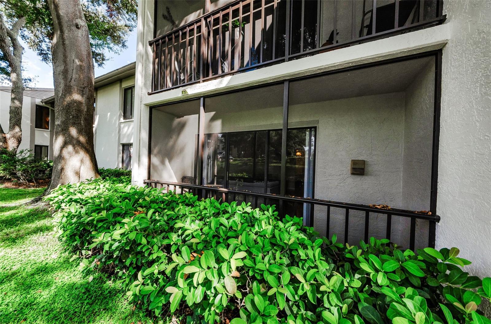 2575 PINE RIDGE WAY S #E1, PALM HARBOR, FL