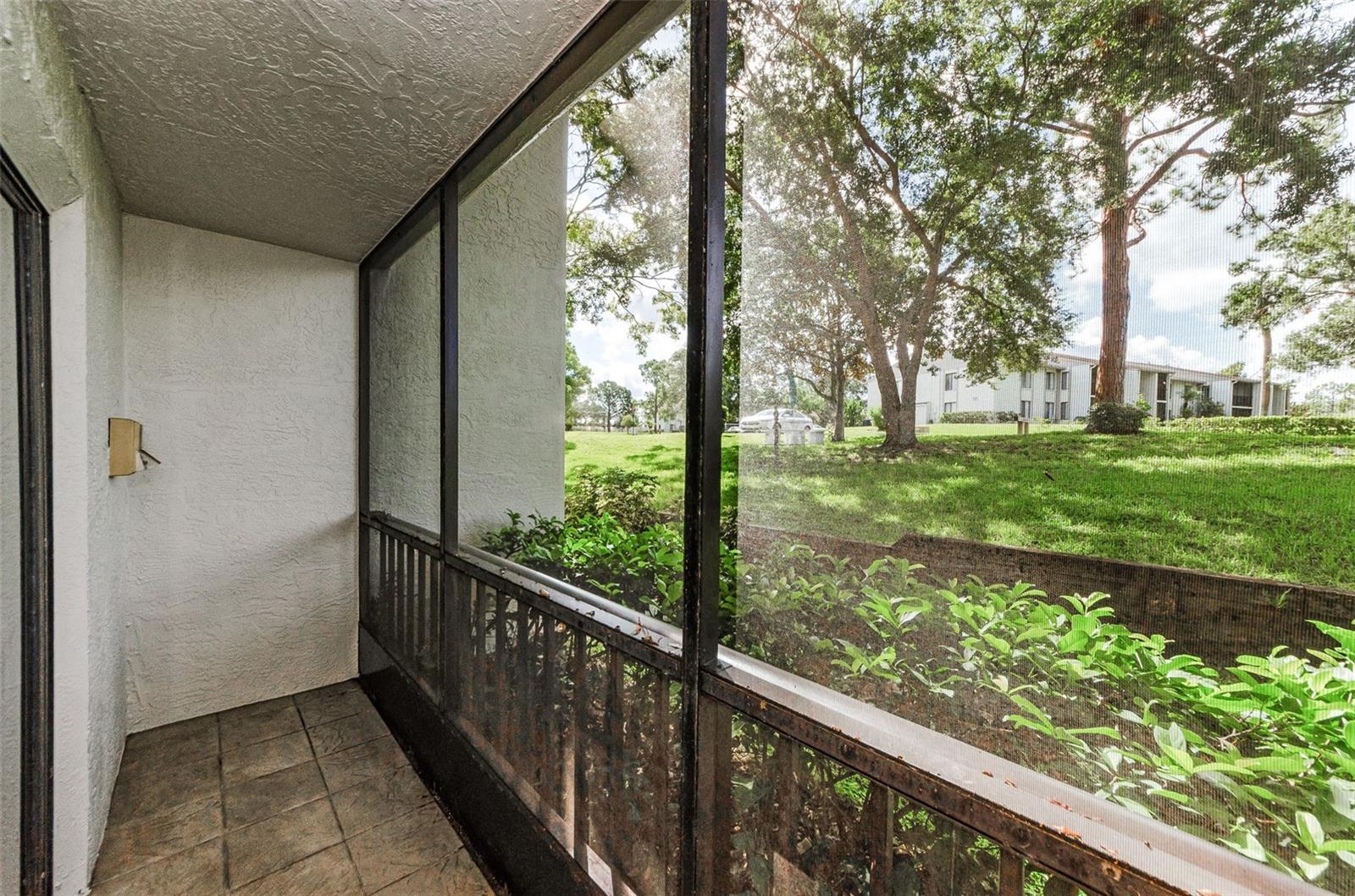 2575 PINE RIDGE WAY S #E1, PALM HARBOR, FL — photo 3