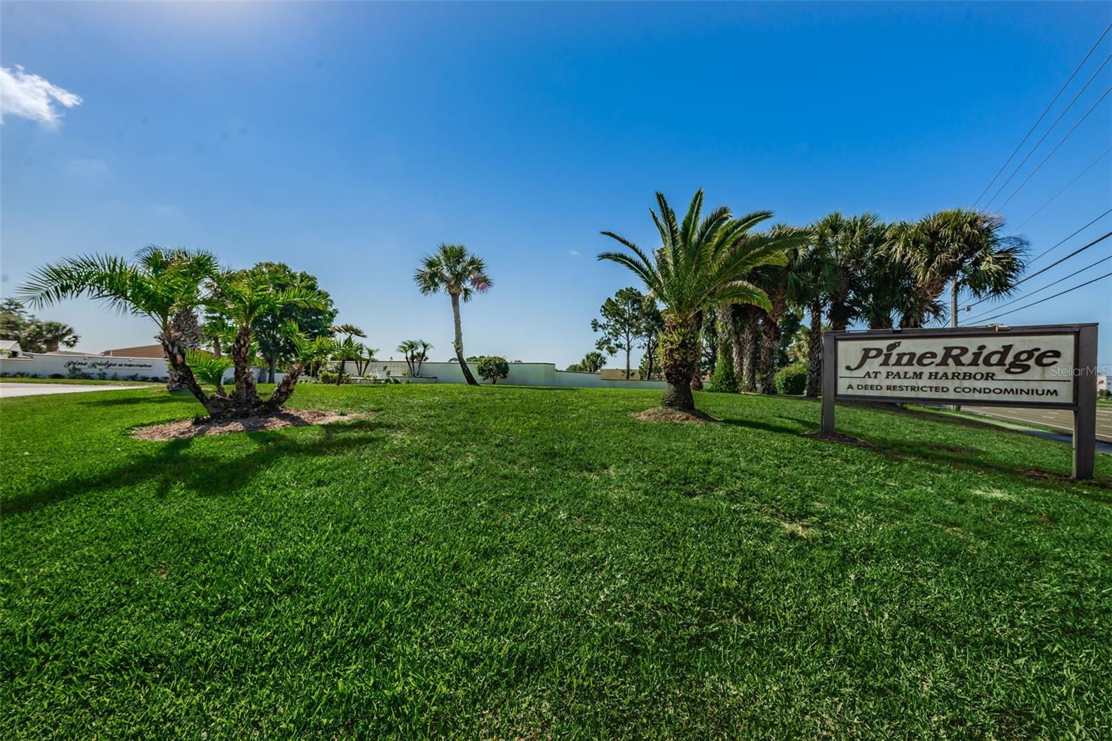 2575 PINE RIDGE WAY S #E1, PALM HARBOR, FL — photo 15