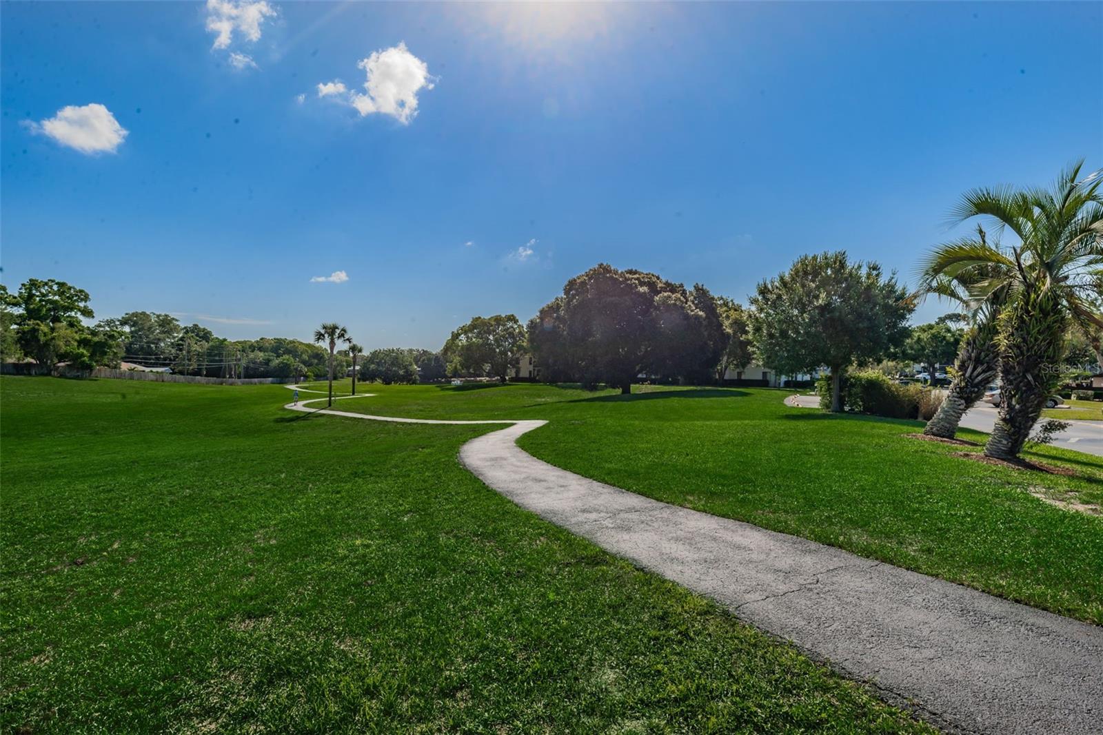 2575 PINE RIDGE WAY S #E1, PALM HARBOR, FL — photo 26