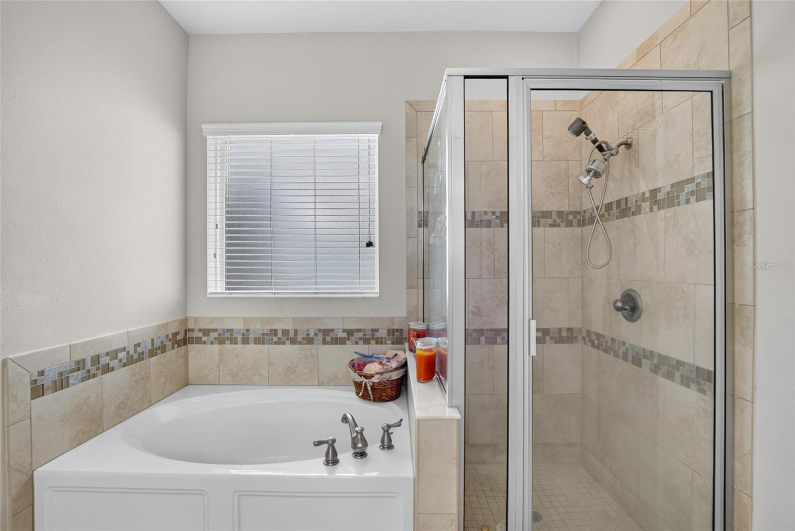 16220 BAYBERRY VIEW DR, LITHIA, FL — photo 25