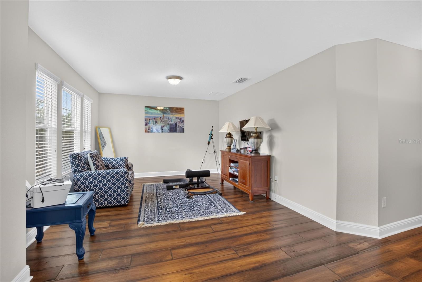 16220 BAYBERRY VIEW DR, LITHIA, FL — photo 29