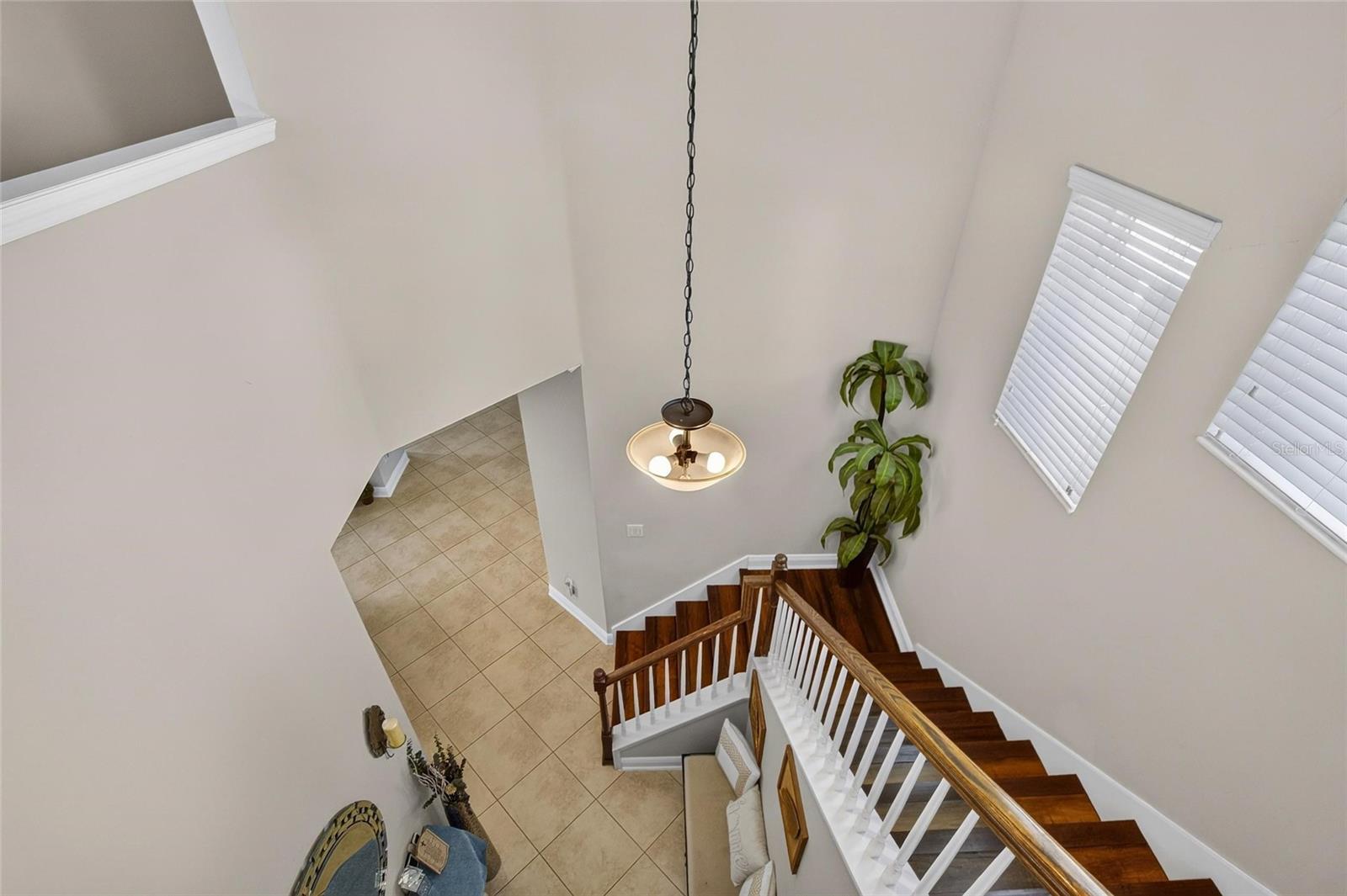16220 BAYBERRY VIEW DR, LITHIA, FL — photo 45