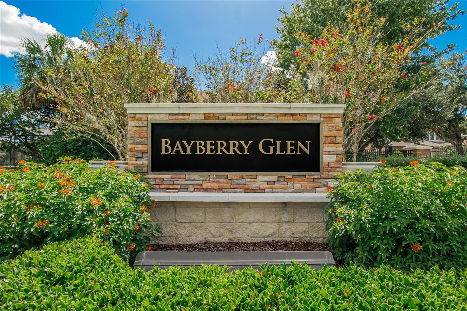 16220 BAYBERRY VIEW DR, LITHIA, FL — photo 62