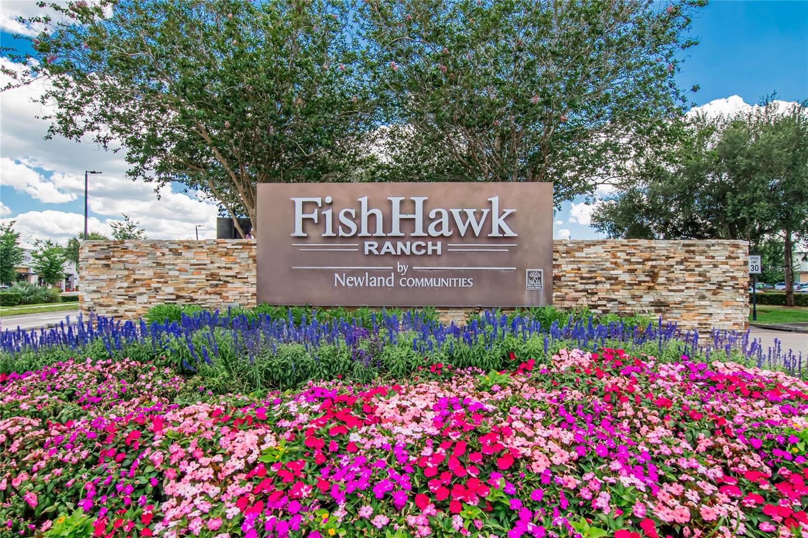 16220 BAYBERRY VIEW DR, LITHIA, FL — photo 63