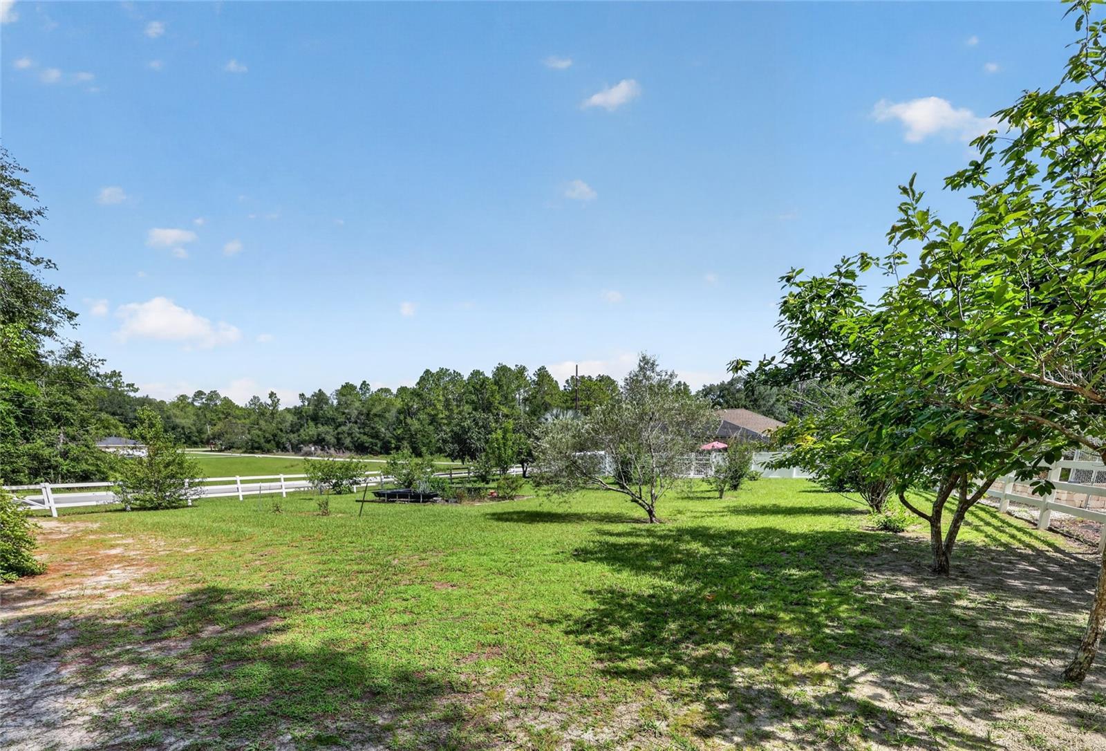 20096 SW 59TH LN, DUNNELLON, FL — photo 5