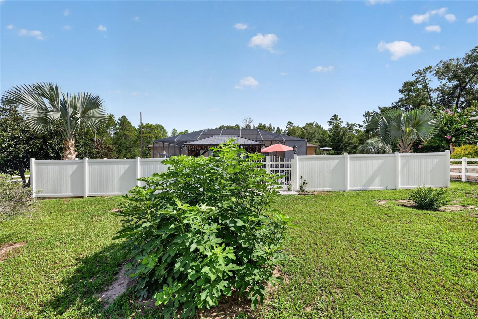 20096 SW 59TH LN, DUNNELLON, FL — photo 58