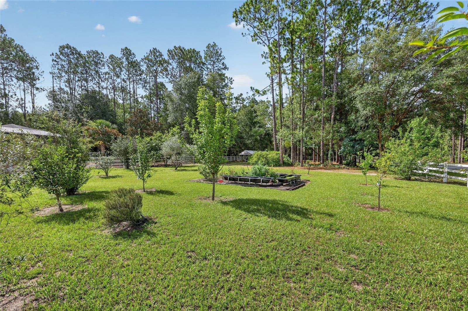 20096 SW 59TH LN, DUNNELLON, FL — photo 60
