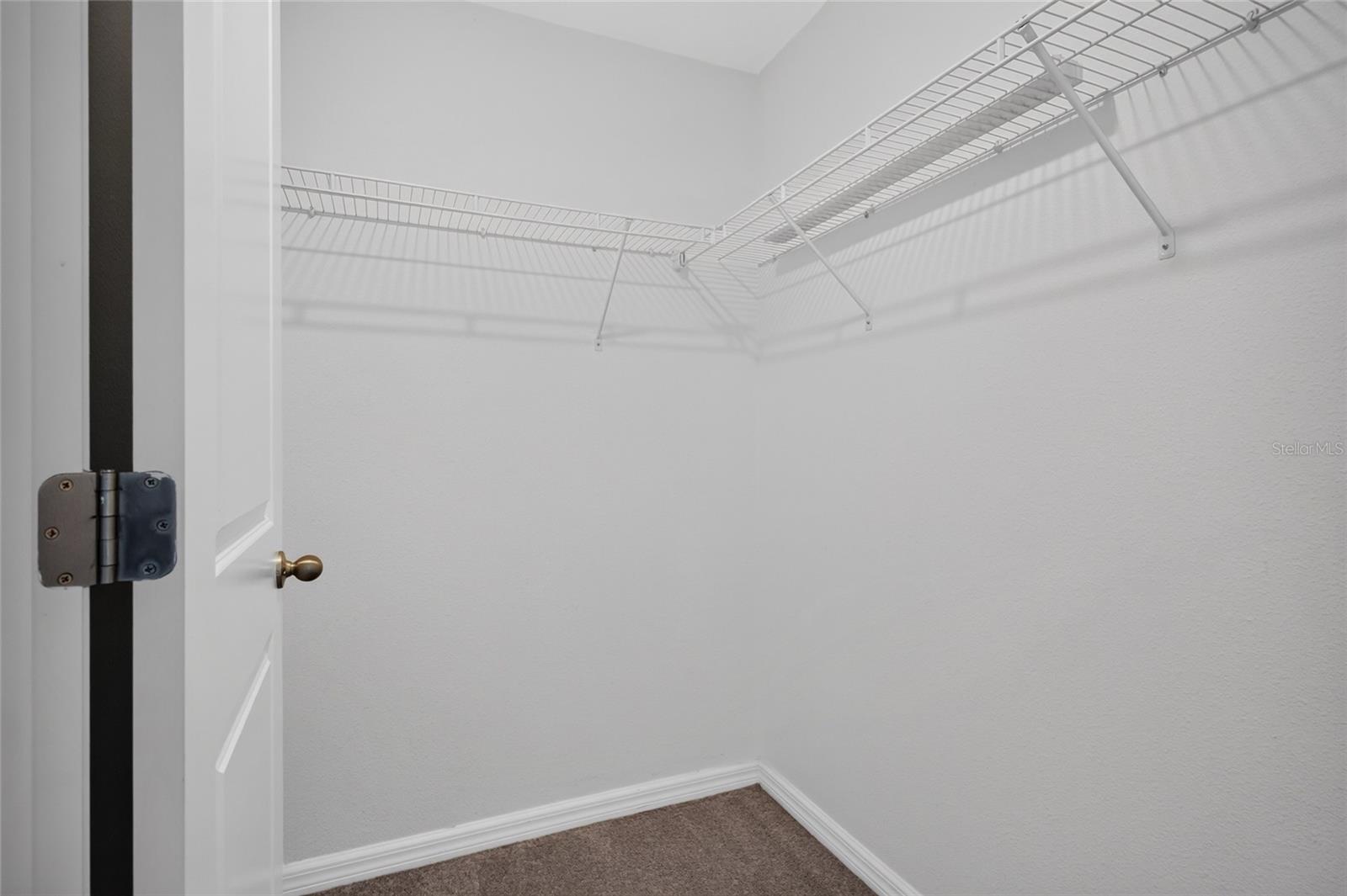 7617 GINGER LILY CT, TAMPA, FL — photo 26