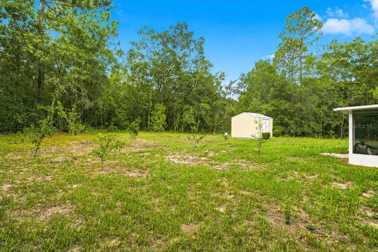 3032 E PORTER ST #34, INVERNESS, FL — photo 28