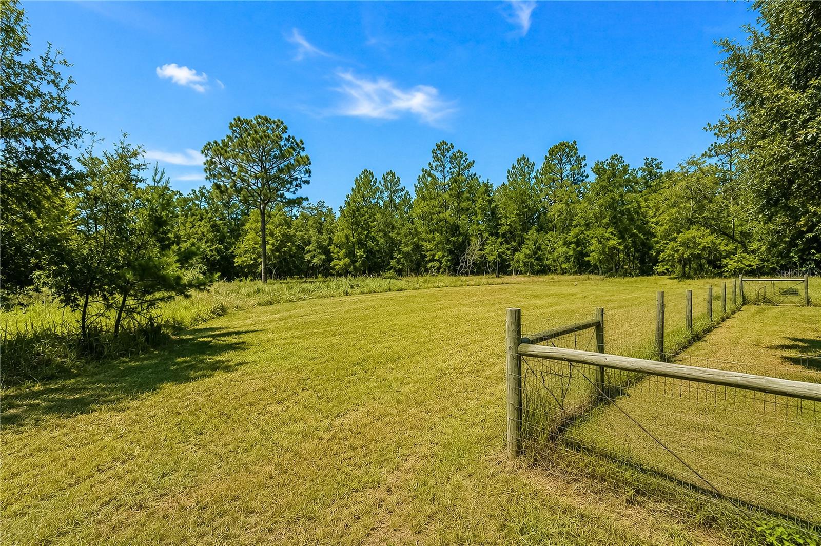 181 WINDY HILLS RD, HAWTHORNE, FL — photo 6