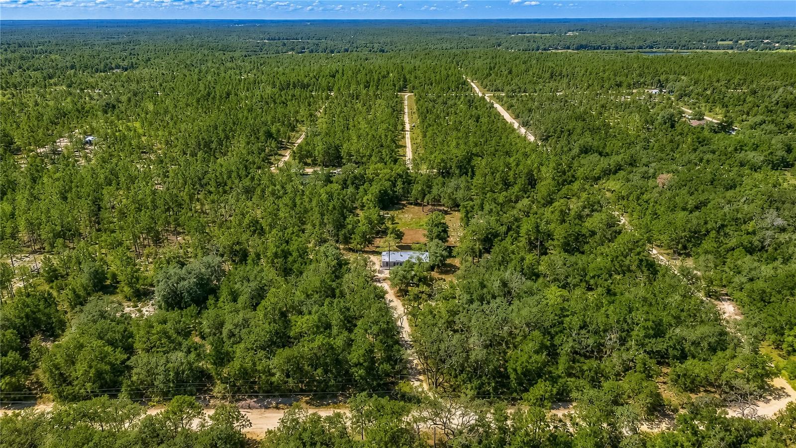 181 WINDY HILLS RD, HAWTHORNE, FL — photo 39