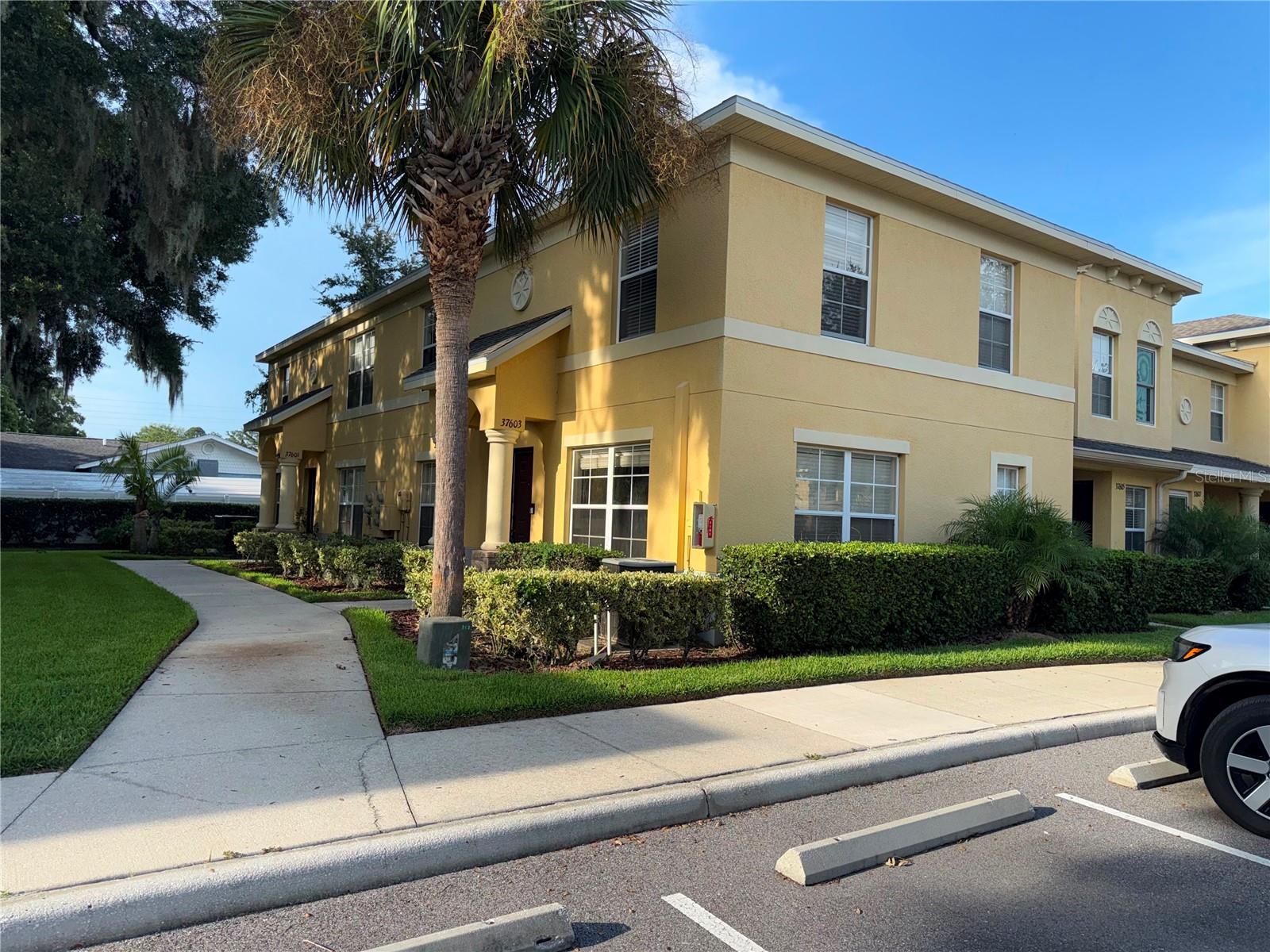 37603 DALIHA TER, ZEPHYRHILLS, FL — photo 32