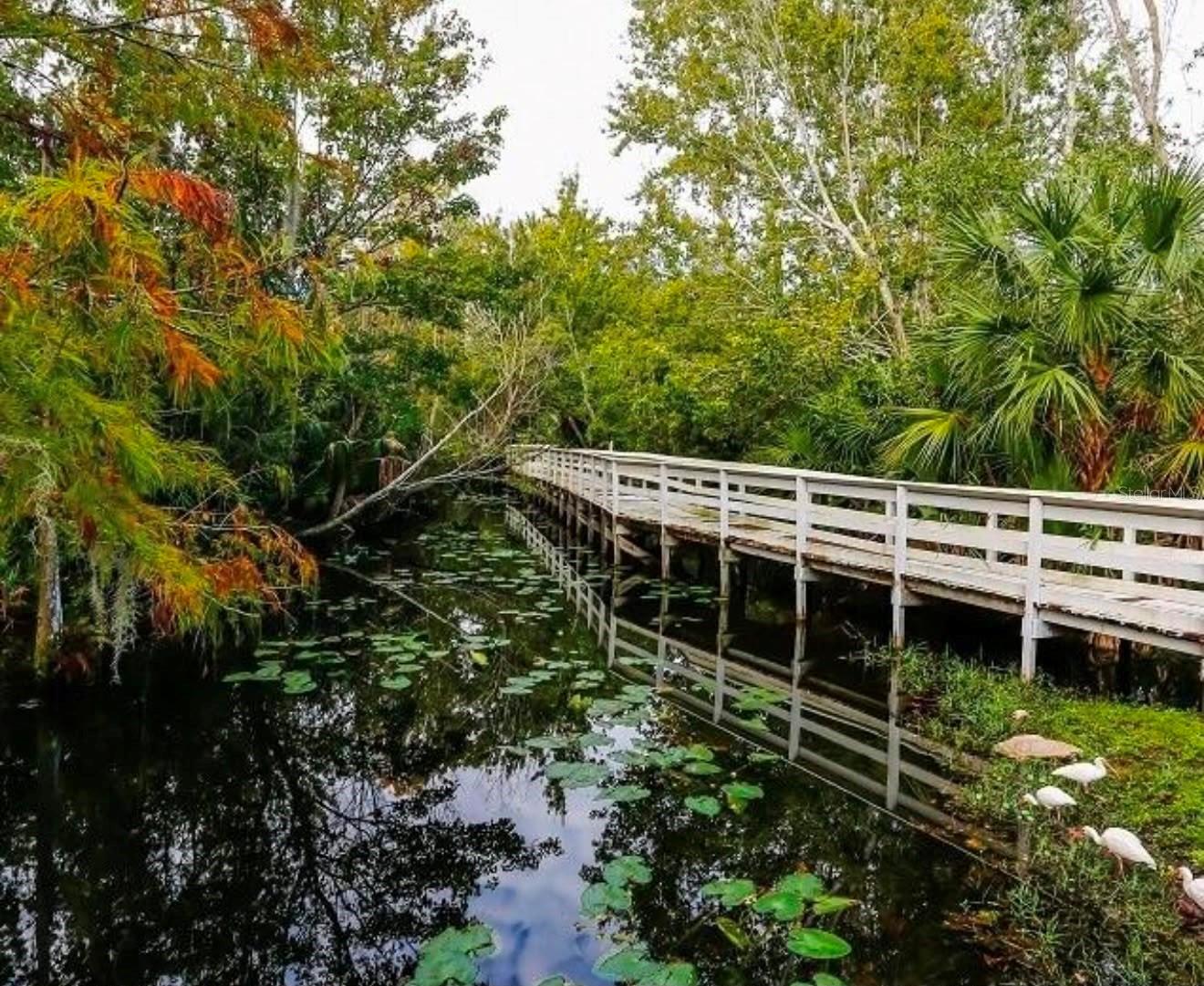 647 SAN JUAN BLVD, ORLANDO, FL — photo 16