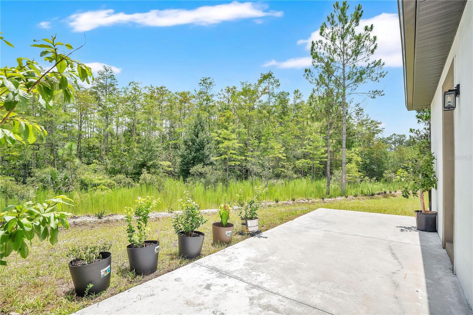 3307 DALLAS BLVD, ORLANDO, FL — photo 29