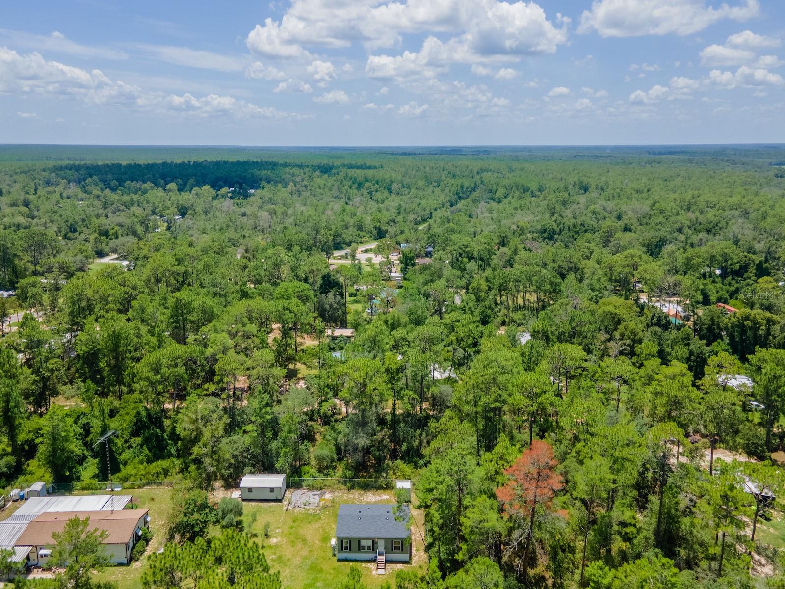14668 NE 204TH PL, FORT MC COY, FL — photo 2