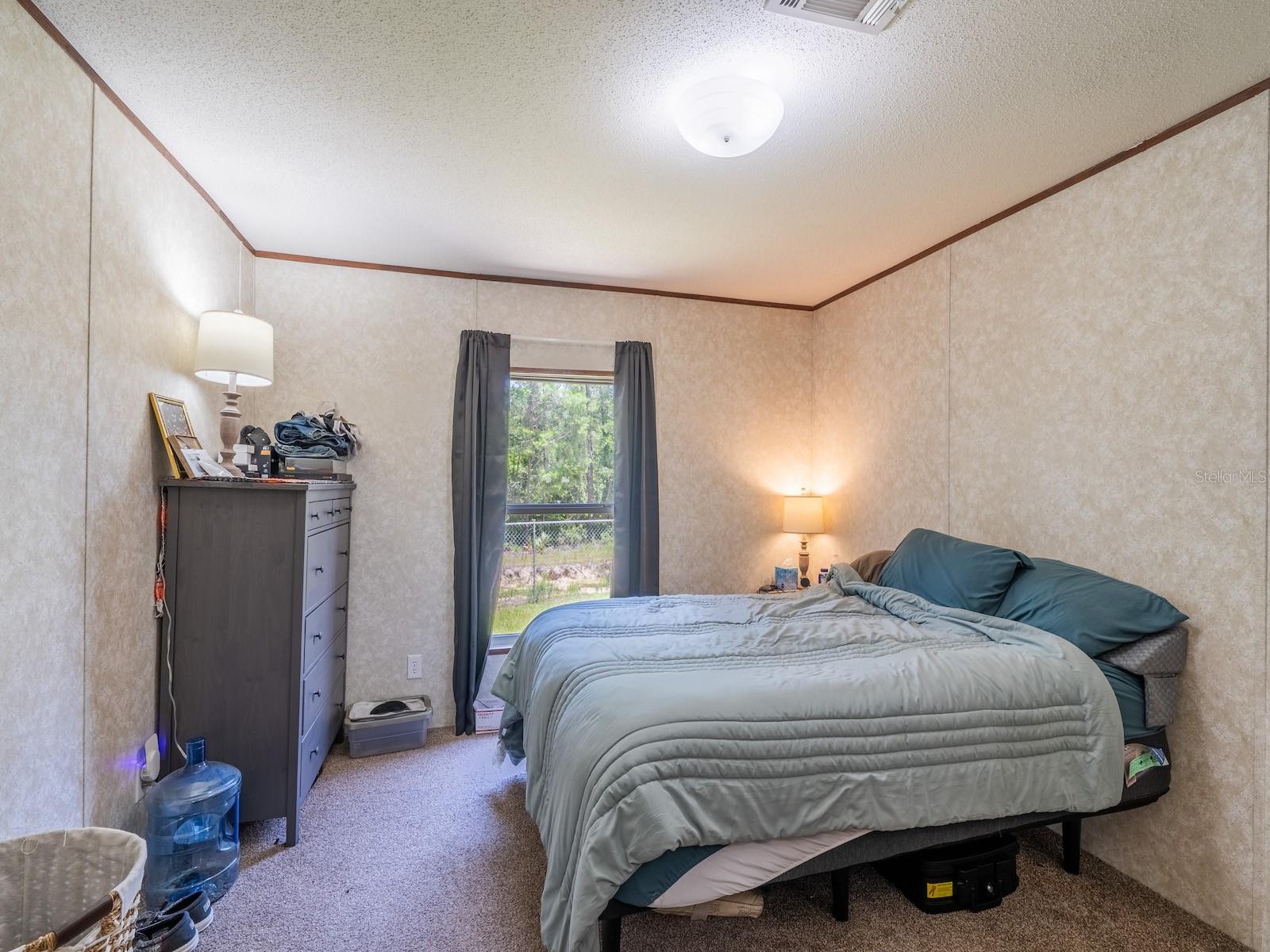 14668 NE 204TH PL, FORT MC COY, FL — photo 12