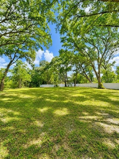 17430 BLACKWELL LN, LUTZ, FL — photo 5