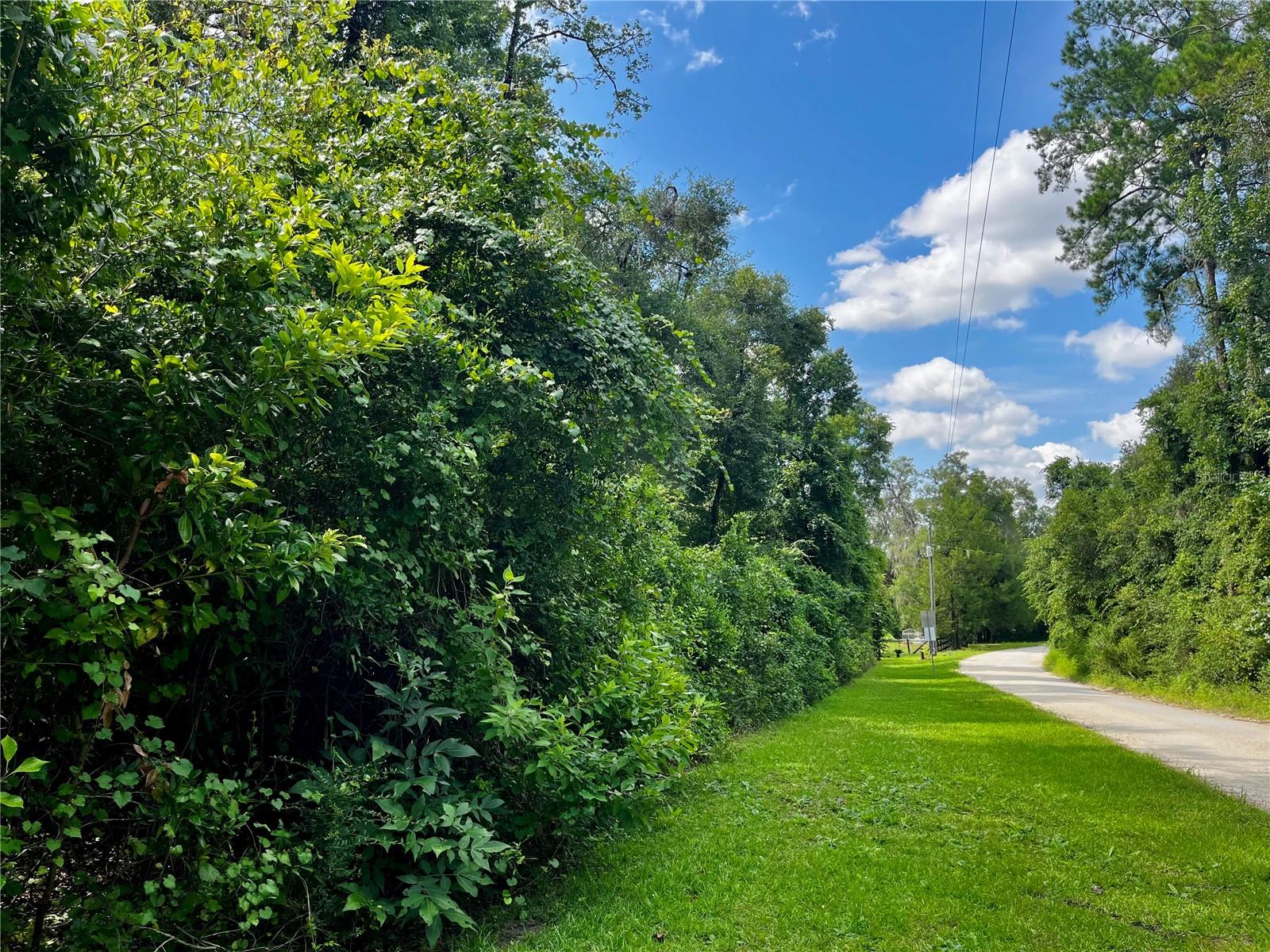 TBD NW 127TH CT, OCALA, FL — photo 2