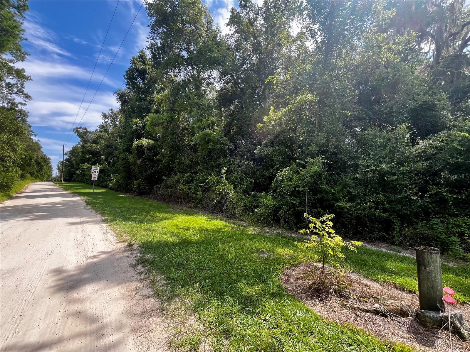 TBD NW 127TH CT, OCALA, FL — photo 4