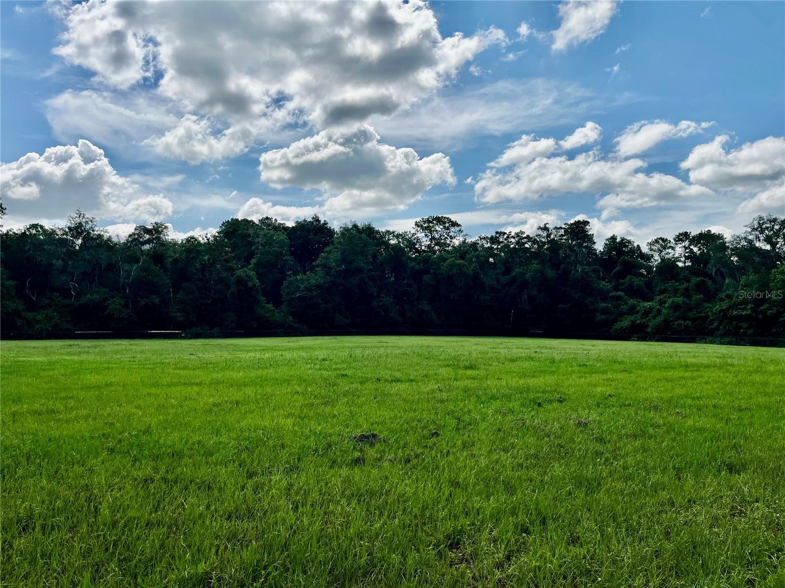 TBD NW 127TH CT, OCALA, FL — photo 5