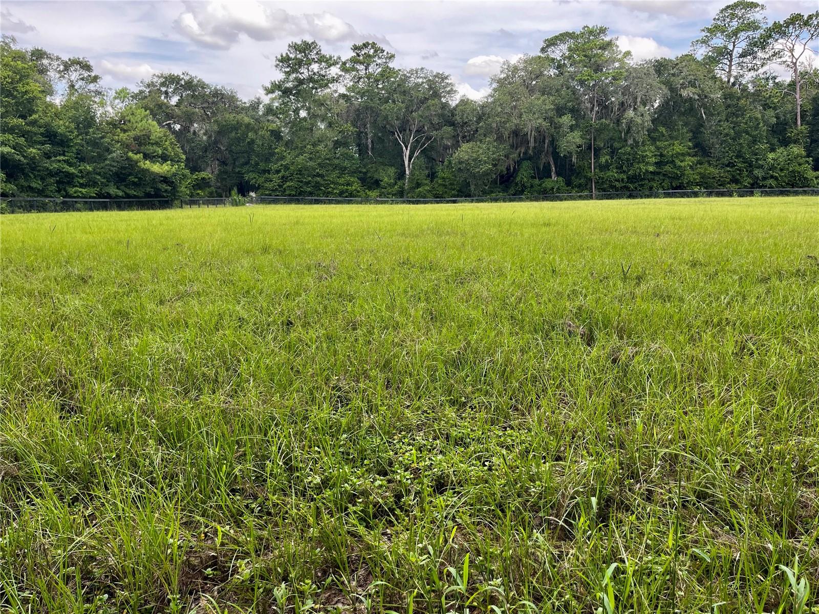 TBD NW 127TH CT, OCALA, FL — photo 9