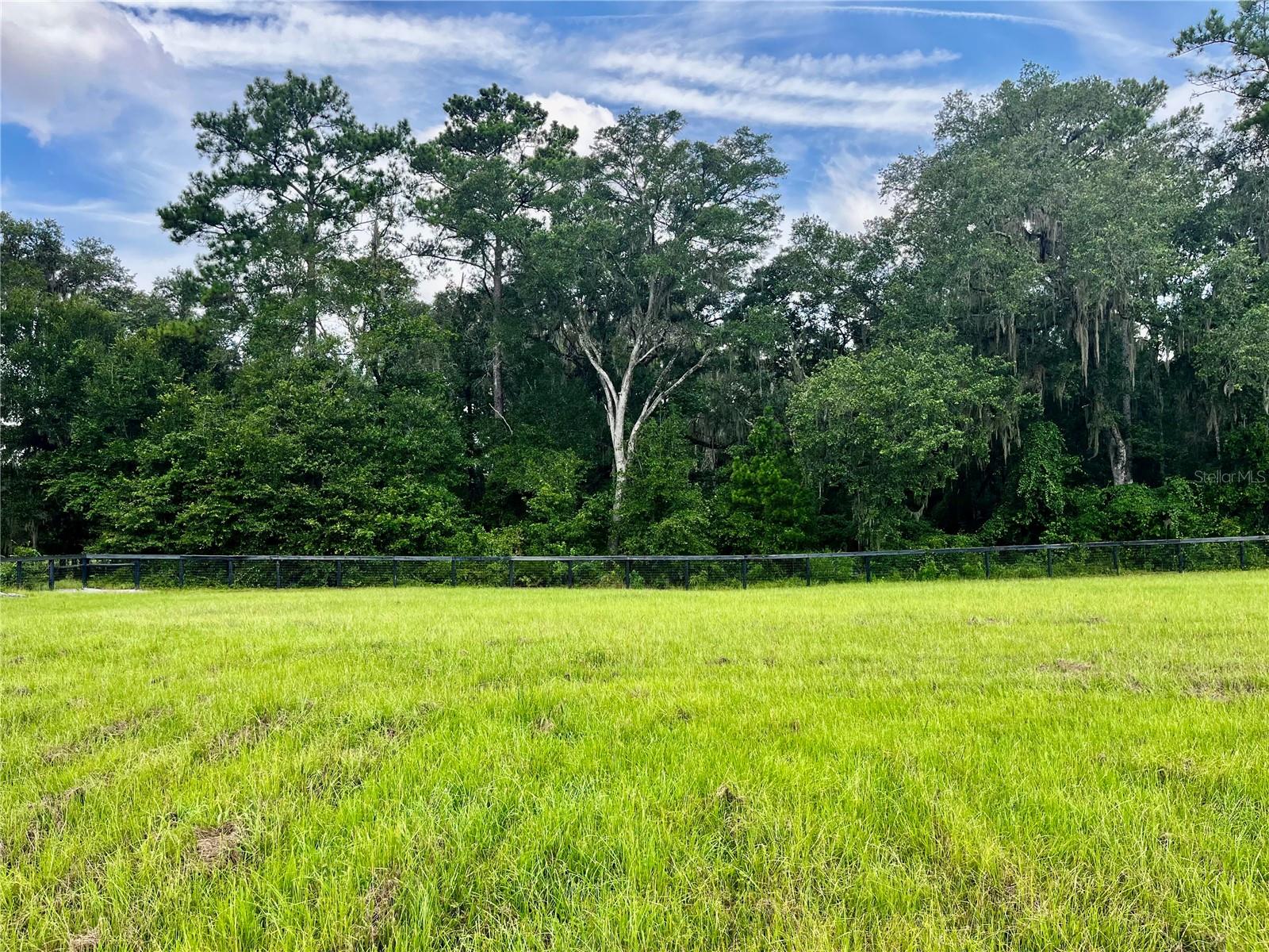 TBD NW 127TH CT, OCALA, FL — photo 10
