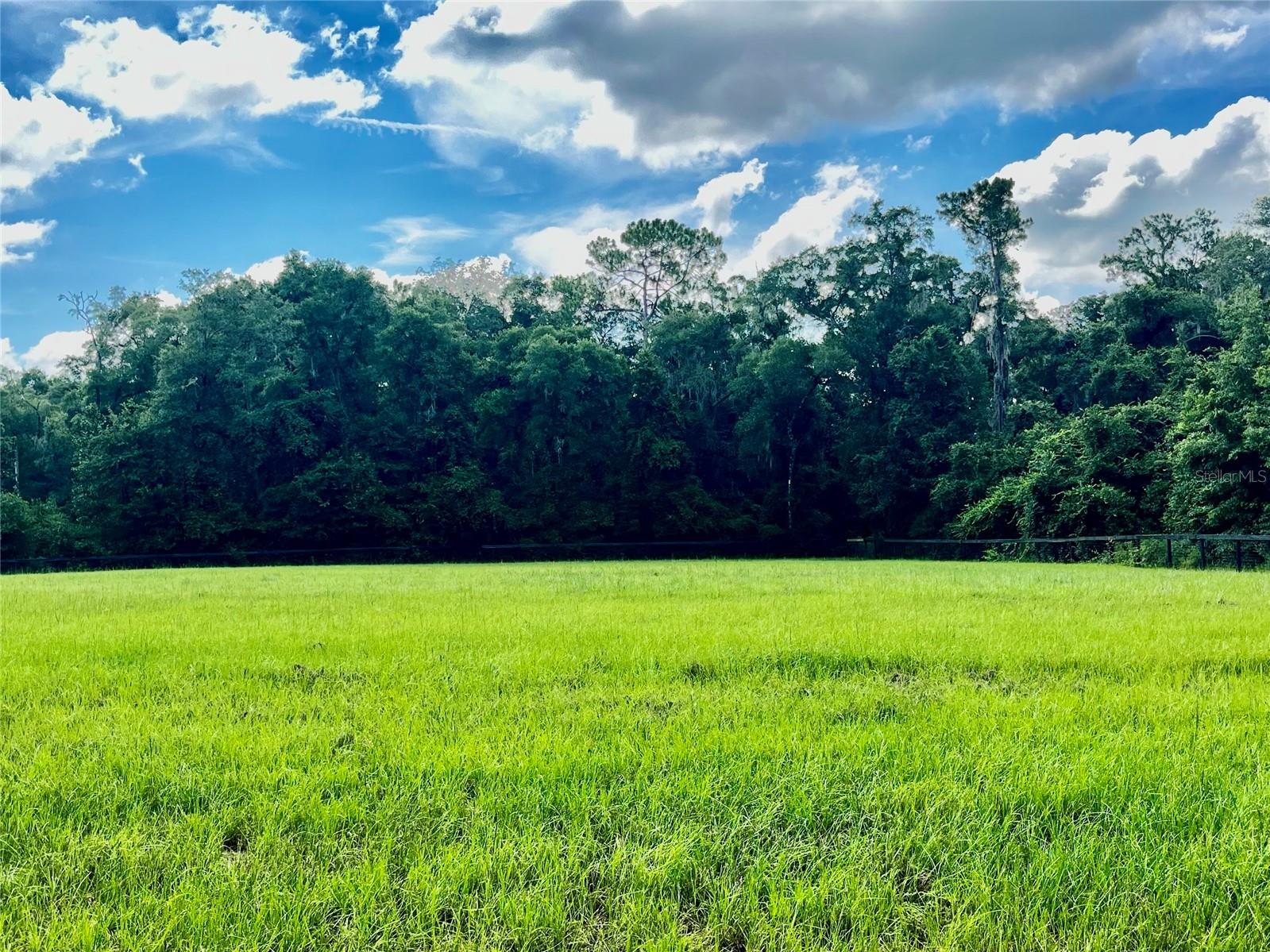 TBD NW 127TH CT, OCALA, FL