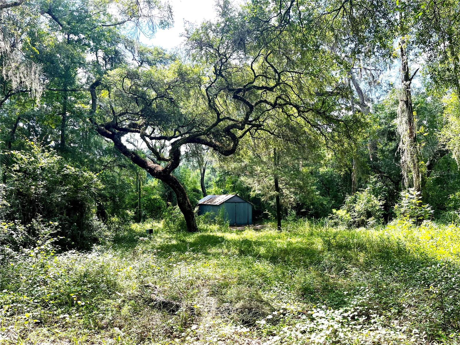 TBD NW 127TH CT, OCALA, FL — photo 14