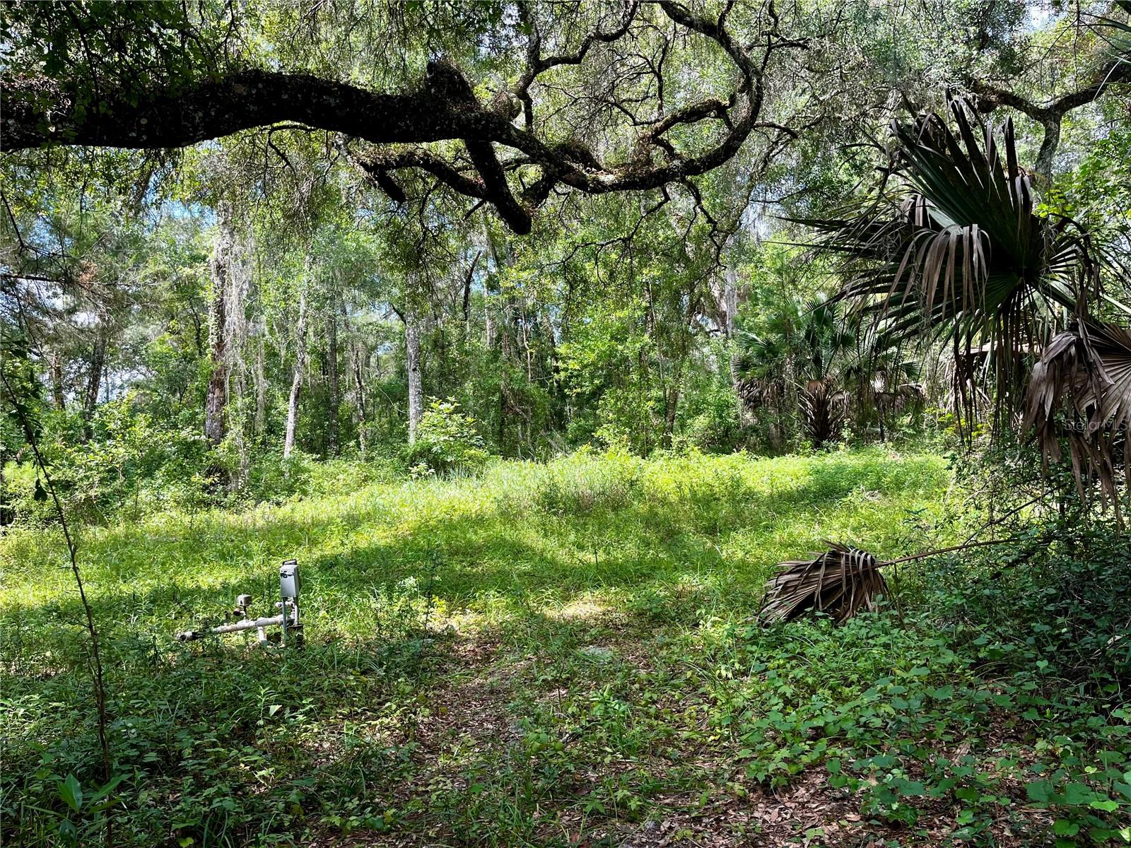 TBD NW 127TH CT, OCALA, FL — photo 16
