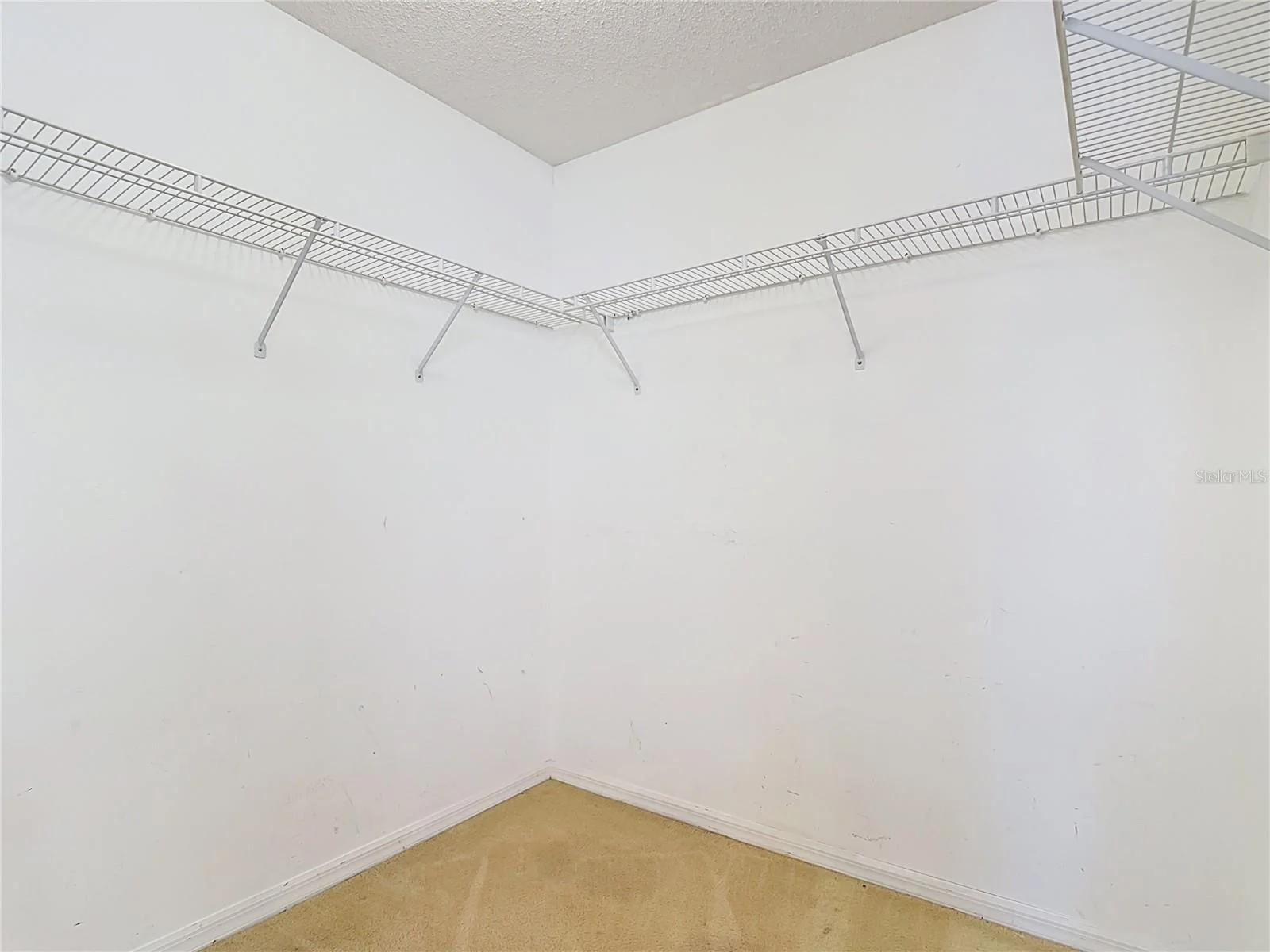 15405 MARGAUX DR, CLERMONT, FL — photo 22