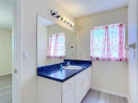 15405 MARGAUX DR — photo 23